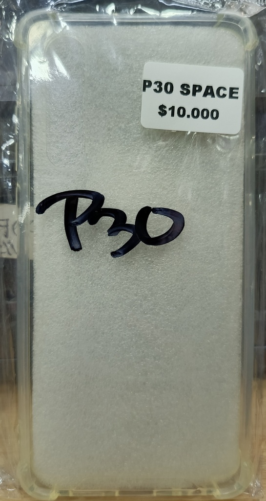 P30 SPACE