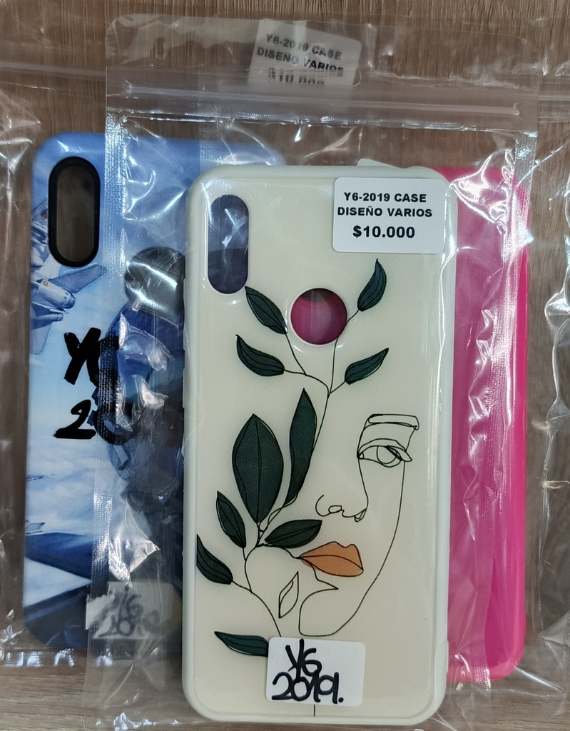 Y6-2019 CASE DISEÑO VARIOS