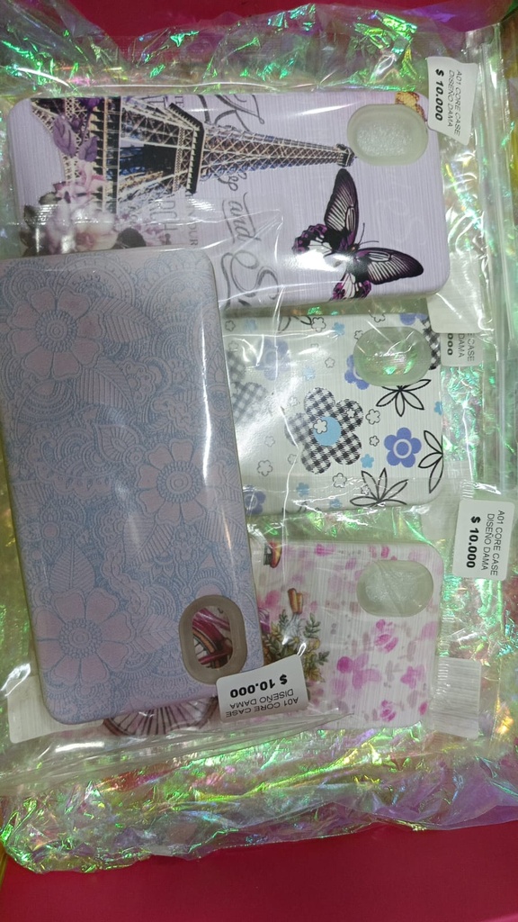 A01 CORE CASE DISEÑO DAMA